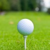 Golf Nuts Club